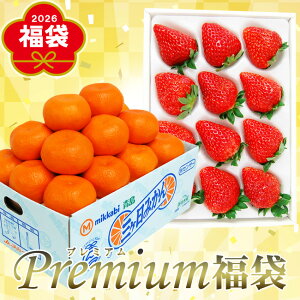 ���ʌ��� 2026 �V�t ���� �y �É����� �v���~�A�� �z �O���� ���݂��� �y �G�i �z L�T�C�Y3�L�� & �É��Y �g�ق��� ���� ������ 12�܂���15���� �t���[�c���� �O�P�� �É� �l�� ������ ����