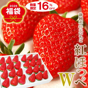 2026 N Vt  y gق؂ z ʌ16ItuÉY gق  TCYv 12or15 / 24or30 s2026N1{t É l  t[c O