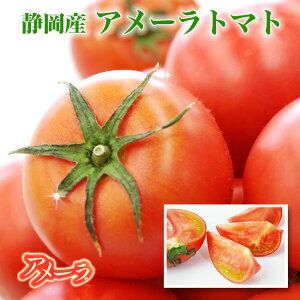 高糖度 アメーラ トマトの通販 価格比較 価格 Com