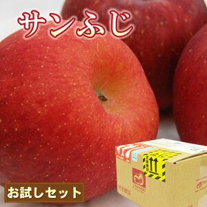 y y 16  z GR Tӂ 4Zbg  p a    ʕ t[c  N Zbg