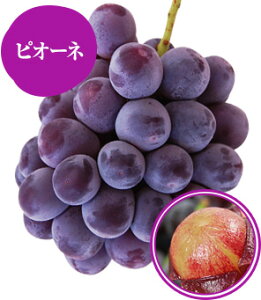 Iׂ2[ȏłl lbgłԂǂ sI[l1[yGizgݍ킹R Ȃ uhE  hV̓ a  j j   ʕ t[cHׂ₷