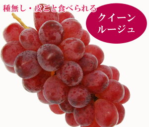 y y  z Mtg Ԃǂ  Iׂ H̃W[V[ t[c Zbg    VC}XJbg iKmp[v NC[[W  t[c ʕ v[g l