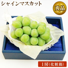 【 あす楽 】 シャインマスカット 【 秀品 】 1房 化粧箱 種なし ぶどう 贈り物 果物 フルーツ 中元 夏ギフト 敬老の日 お彼岸 残暑お見舞 お盆 初盆 誕生日 内祝 御礼 御祝 お見舞 お祝 お返し お供 法事 法要 志 お中元 お歳暮 お年賀 お年始