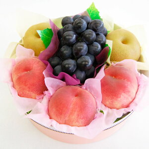     uhE ASSORTMENT Ԃǂ Y t[c ʕ lߍ킹    c ăMtg hV̓ j j a    @ @v ~ Ԃ u t