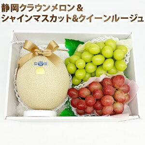 y y  z Mtg VC}XJbg  NC[[W  ÉY NE ʃTCY lߍ킹  t[c v[g ʕ j j a   