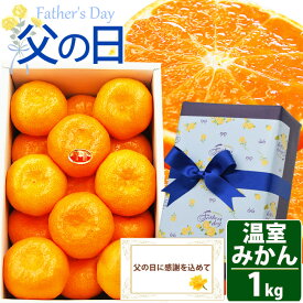 【 ご予約受付中 】 父の日ギフト 糖度12度 愛知県 蒲郡産 高級 温室 みかん SもしくはMサイズ【 秀品 】化粧箱入り お届け日指定 フルーツ ギフト プレゼント 高糖度 食べやすい 果物 ギフト 無料メッセージカード付き 人気 グルメ 高級 健康 クール便