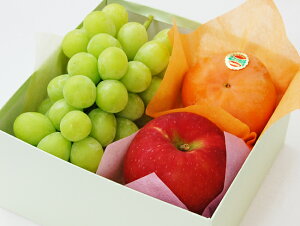 柿 入り 秋のジューシー フルーツギフト シャインマスカット りんご 柿 高級 フルーツ 盛合わせ プレゼント ギフト 贈り物 国産 果物 御祝 内祝 誕生日 お見舞 御礼 お供え 志 お返し フルー