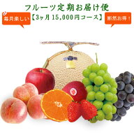 フルーツ定期お届け便【1ヶ月 5,400円×3回コース】お支払総額 16,200円(税込) 定期便 頒布会 高級 果物 …