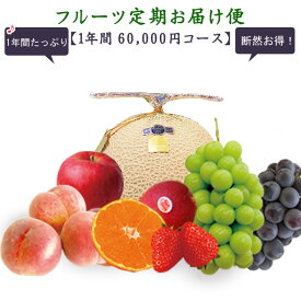 フルーツ定期お届け便【1ヶ月 5,400円×12回コース】お支払総額 64,800円(税込) 定期便 頒布会 高級フルーツ 果物 人気 お礼 内祝