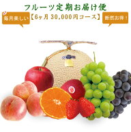 フルーツ定期お届け便【1ヶ月 5,400円×6回コース】お支払総額 32,400円(税込) 定期便 頒布会 高級 果物 …