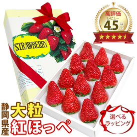 【 あす楽 即日発送 届日指定OK】 静岡県産 いちご 紅ほっぺ 大粒 12または15粒 ギフト おしゃれ リボン ラッピング 高級 フルーツ イチゴ 苺 プレゼント バレンタイン ホワイトデー 合格祝 卒業祝 贈答 お礼 御祝 内祝 誕生日 無料メッセージカード クール便 送料無料