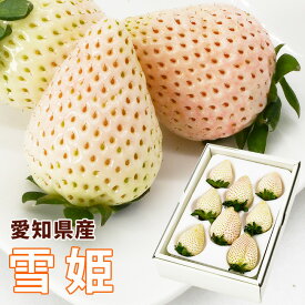 【 新発売記念価格10％オフ 】 日恵野さんのいちご 「雪姫」8～9粒入 化粧箱 送料無料 愛知 珍しい 白いちご 高級 フルーツ 大粒 イチゴ お礼 御祝 内祝 お返し 誕生日 お見舞 卒業 入学 就職 転職 退職 苺 日恵野初一さん 熨斗 無料メッセージカード クール便 送料無料