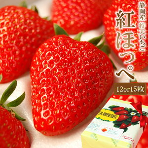 ÉY  gق 嗱 12܂15 Mtg  { bsO  t[c C`S  v[g Nn N ij  w AE   j j a 