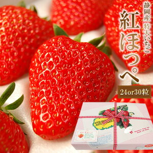 ÉY  gق 嗱 24 ܂ 30 Mtg  { bsO  t[c 嗱 C`S  v[g ij  w AE   j j a  Ԃ