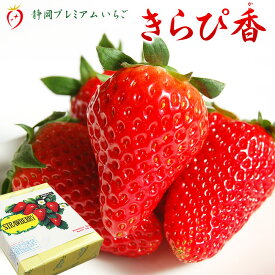 ＼ 期間限定10％OFFクーポン有 ／ 静岡県産 いちご 【 きらぴ香 】 12粒 または 15粒 入 化粧箱 静岡 大粒 お取寄せ ギフト プレゼント お歳暮 バレンタイン ホワイトデー お礼 御祝 内祝 誕生日 お見舞 お土産 自宅用 高級 フルーツ