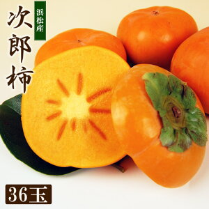静岡県産 次郎柿 露地栽培 大玉サイズ 4個 / 8個 / 12個 / 24個 / 36個 柿 甘柿 かき じろうがき 浜松 浜北 高級 フルーツ ギフト プレゼント 濃厚な甘み 緻密な果肉 フルーツセット 内祝 お祝 お礼