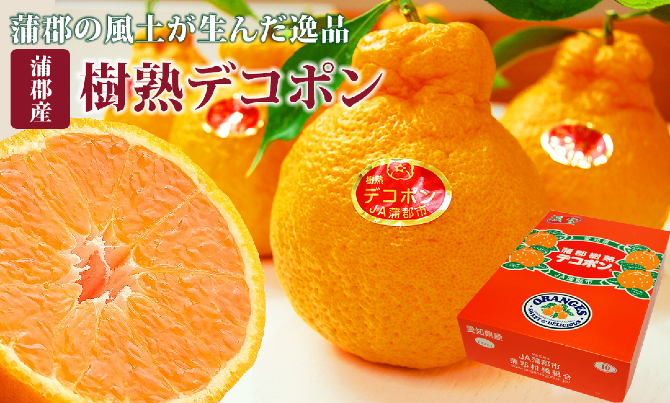 蒲郡樹熟デコポン