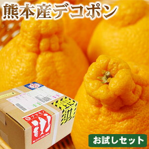 �������Z�b�g �F�{�Y �f�R�|�� 4�� ( ���v1.35�L���O�� ) �������k �t���[�c �ʕ� ���Ƃ�� ����p