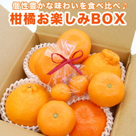 【 あす楽 16時 即日発送OK 】 エコ梱包 旬の柑橘お楽しみBOX 厳選 お試し お取り寄せ ご自宅用 果物 フルーツ 高級 健康