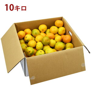 y y  z܂h OR_ O݂ MTCY yԏGiz / 2.5L / 5L / 10L ܂邯 }PC I  󂠂 ޒn ʌ OP݂ ݂т