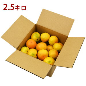 y y  z܂h OR_ O݂ MTCY yԏGiz / 2.5L / 5L / 10L }PC I  󂠂 ޒn ʌ OP݂ ݂т݂ É 