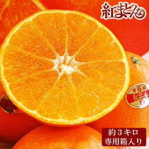 QY v~A ku g܂ǂ v2L`4LTCY Gi 8`12 ( 3L )ypzk Y v[g  蕨 ʕ  j j   a lC 