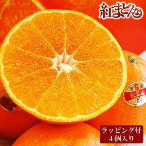 bsO t QY k g܂ǂ Gi ϔ 3LTCY4 or@2LTCY5 k Y v[g  蕨 ʕ  Ε j j   a lC  