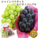 ギフト 2色 ぶどう セット ナガノパープル ＆ シャインマスカット 種なし 皮ごと 高級 フルーツ 誕生日 プレゼント 内祝 お祝 お礼 御供 志 法要 お見舞 人気 甘い ブドウ 食べやすい おしゃれ ラッピング リボン クール便