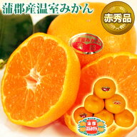 温室みかん 最高等級【 赤秀品 】Sサイズ 15個 または Mサイズ 12個 化粧箱入 約1.1kg 糖度12度 愛知県 …