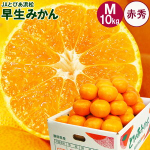 _ Black Friday |Cg5{ ^ x11xȏ JA Ƃ҂l  ݂ y ԏG z MTCY 3L 5L 10L É l 킹݂ t[c Ε ~Mtg   Ԃ a 