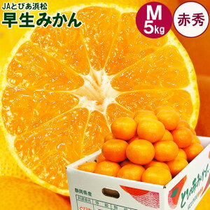 x11xȏ JA Ƃ҂l  ݂ y ԏG z MTCY 3L 5L 10L É l 킹݂ t[c Ε ~Mtg   Ԃ a j j  䋟 u 