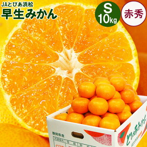 _ Black Friday |Cg5{ ^ x11xȏ JA Ƃ҂l  ݂ y ԏG z STCY 3L 5L 10L É l 킹݂ t[c Ε ~Mtg   Ԃ a 