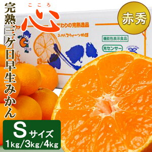 12{ח\聄 x 12x n O݂ S  STCY 3L 4L 15ϔ(1kg) y ԏGi z  ݂т݂ n݂ ~J É l Ε t[c ~M