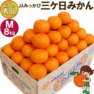 O݂ y Gi z MTCY 3L / 4L / 8L / 48ϔ OP݂ ݂т݂ x11x ~J É l ݂ 킹   t[c Ε ~Mtg  