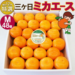 12{ח\聄 I x n O݂ ~JG[X MTCY Ii 3L 4L 12ϔ 48ϔ x12x Ԍ OP݂ ݂т݂ ~J É l 