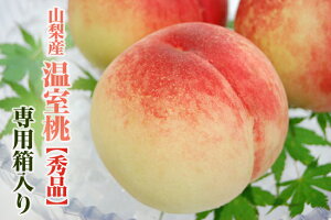 �R���Y ������ �y �G�i �z 4�`6�� ���ϔ����� �l�ߍ��킹 ���� �t���[�c �ʕ� �M�t�g �v���[���g �������b�Z�[�W�J�[�h �l�C �O���� ���� ���N �������� ��y�Y �G�߂̃t���[�c �o�Y�j �S����