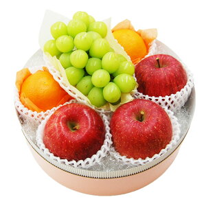 y y  ͓w OKz 3 t[c ASSORTMENT VC}XJbg  IW t[cZbg t[c荇킹 Ԃǂ j j  a     l