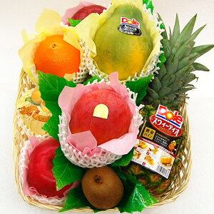 【 あす楽 即日発送 届日指定 OK】 フルーツ盛り合わせ 御供 篭盛 法事 法要 御供 籠盛り ご仏前 御仏前 新盆 初盆 お盆 49日 四十九日1回忌 3回忌 7回忌 満中陰志 志 御礼 お返し 高級 フルーツ