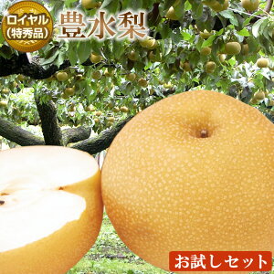 y y  z GR 쌧 ɓߎY L yC Gi z4 v1.5LO x12x x W[V[ hV̓ a  Y t[c { ʕ  oC