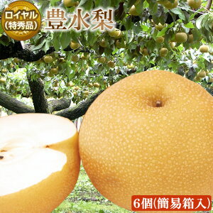 쌧 ɓߎY L yC Gi zTCY 6 v2.7LO ȈՃ_{[ x12xۏ x W[V[  Y 