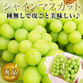 【 あす楽16時 即日発送 】 ギフト シャインマスカット 2房セット 皮ごと食べられる 種なし 国産 ぶどう ブドウ 贈り物 フルーツ プレゼント 父の日 お中元 暑中お見舞 お盆 初盆 敬老の日 誕生日 内祝い 御礼 御祝 お見舞 お祝 お供 法事 法要 御礼 お返し 志