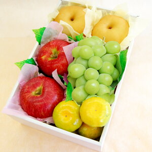 【 あす楽 即日発送 届日指定OK 】 シャインマスカット 入り 秋 の プレミアム フルーツ ギフト りんご 梨 ぶどう プレゼント みかん プレゼント 内祝 お祝 お礼 御供 志 法事 法要 お見舞 誕生