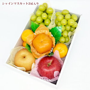 y y  z `  H̃t[c ځI fbNX t[cMtg VC}XJbg Y` NC[[W Ԃǂ   ݂ Y ʕ lߍ킹 j a 