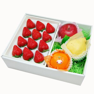 y y  ͓w OKz 嗱   G߂ t[c lߍ킹 Y t[cMtg k   gق v[g  w  蕨 ʕ  j j 