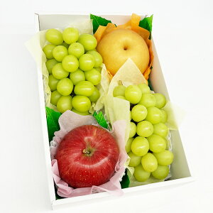 y y  z Mtg VC}XJbg  Ԃǂ2[  t[cZbg lߍ킹 Mtg sI[l NC[[W   햳  ʕ 荇킹 v[