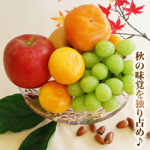 H̖o Zbg VC}XJbg   ݂ 炲ƐHׂ Ԃǂ Y t[c ʕ p Mtg a j  Ԃ yY 䋟 @v  u l킹 t