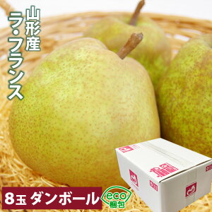 R`Y EtX Gi 8ʓ v2.5`3LOyȈՃ_{[ GR z m Y t[c ʕ p  t[cZbg  p a  