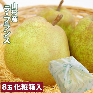 p ϔ  R`YEtX Gi 8 v2.5`3LO m Y t[c ʕ Mtg  l킹 t[cZbg Ε a j aj oY