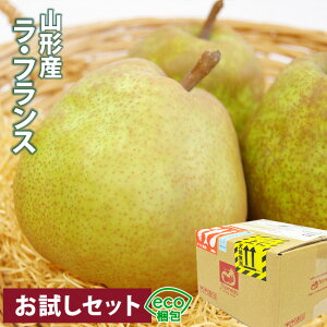 y y  OK zGR R`Y EtX Gi  4ʃZbg v1.5LO Zbg m Y t[c ʕ p   TXeiu v[g ʕ