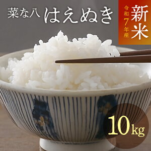 30日はポイント5倍!令和7年度産「はえぬき 10kg(5kg×2袋)」菜な八 山形県庄内産 白米